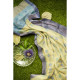 Exclusive Light Green Tissue Kanjivaram Saree by Abaranji 